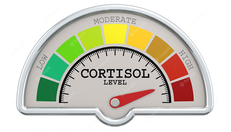 The Surprising Link Between Stress and Weight Gain: How Emotional Strain Can Tip the Scale!