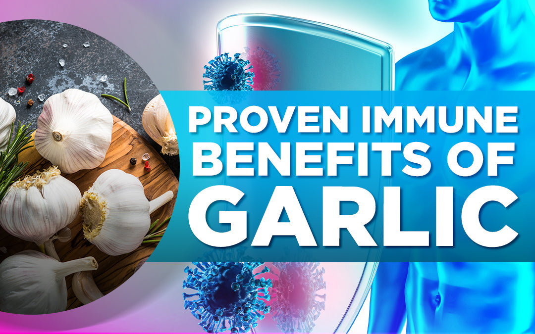 Garlic bulbs and immune shield graphic with text: Proven Immune Benefits of Garlic.