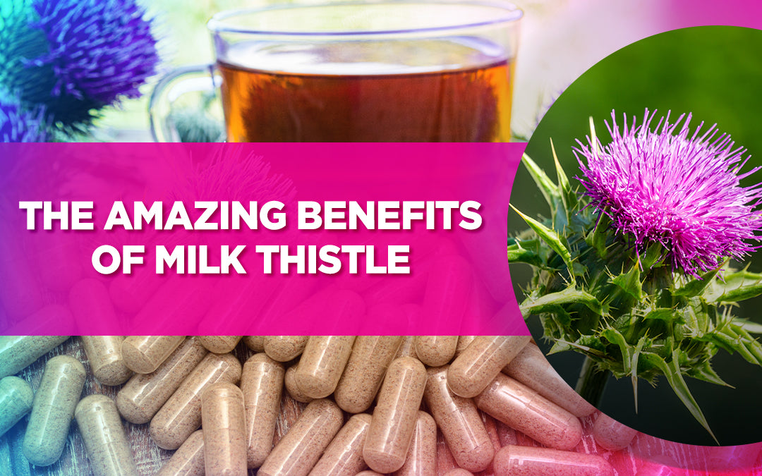 Image highlighting the health benefits of milk thistle, showing capsules, a flower, and herbal tea.