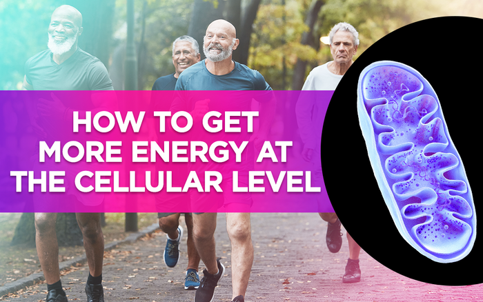 "Group of older adults jogging with text overlay: 'How to get more energy at the cellular level.'"
