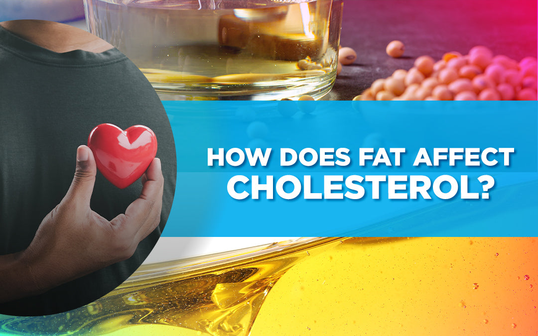 Person holding a heart symbol with images of oil and seeds in the background, titled 'How Does Fat Affect Cholesterol?