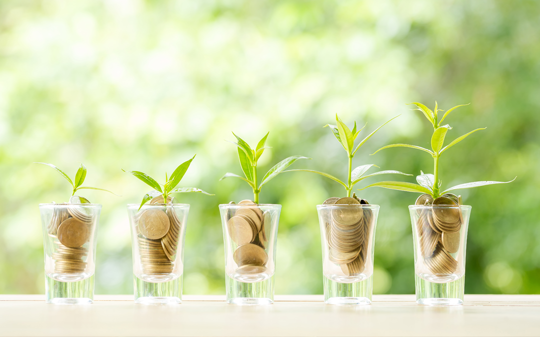 Coins in plant jars with small sprouts
