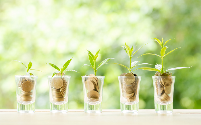 Coins in plant jars with small sprouts