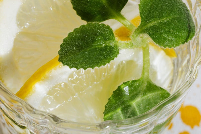 The Best Detox Drinks for Healthy Weight Loss