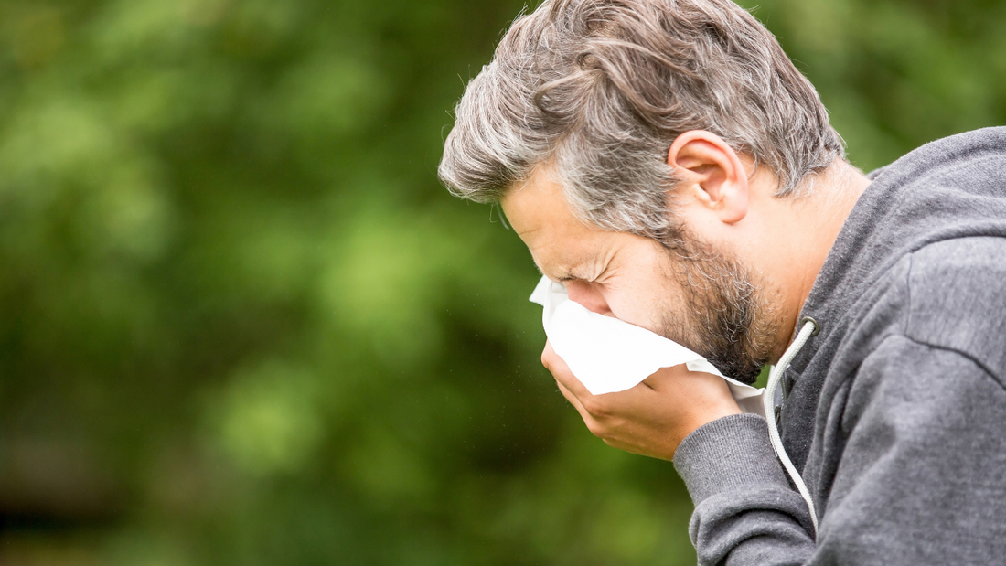 The 3 Best Remedies for Seasonal Allergies You Can Try at Home