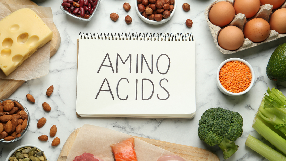 AMINO ACIDS: WHY YOU NEED THEM & HOW TO GET THEM