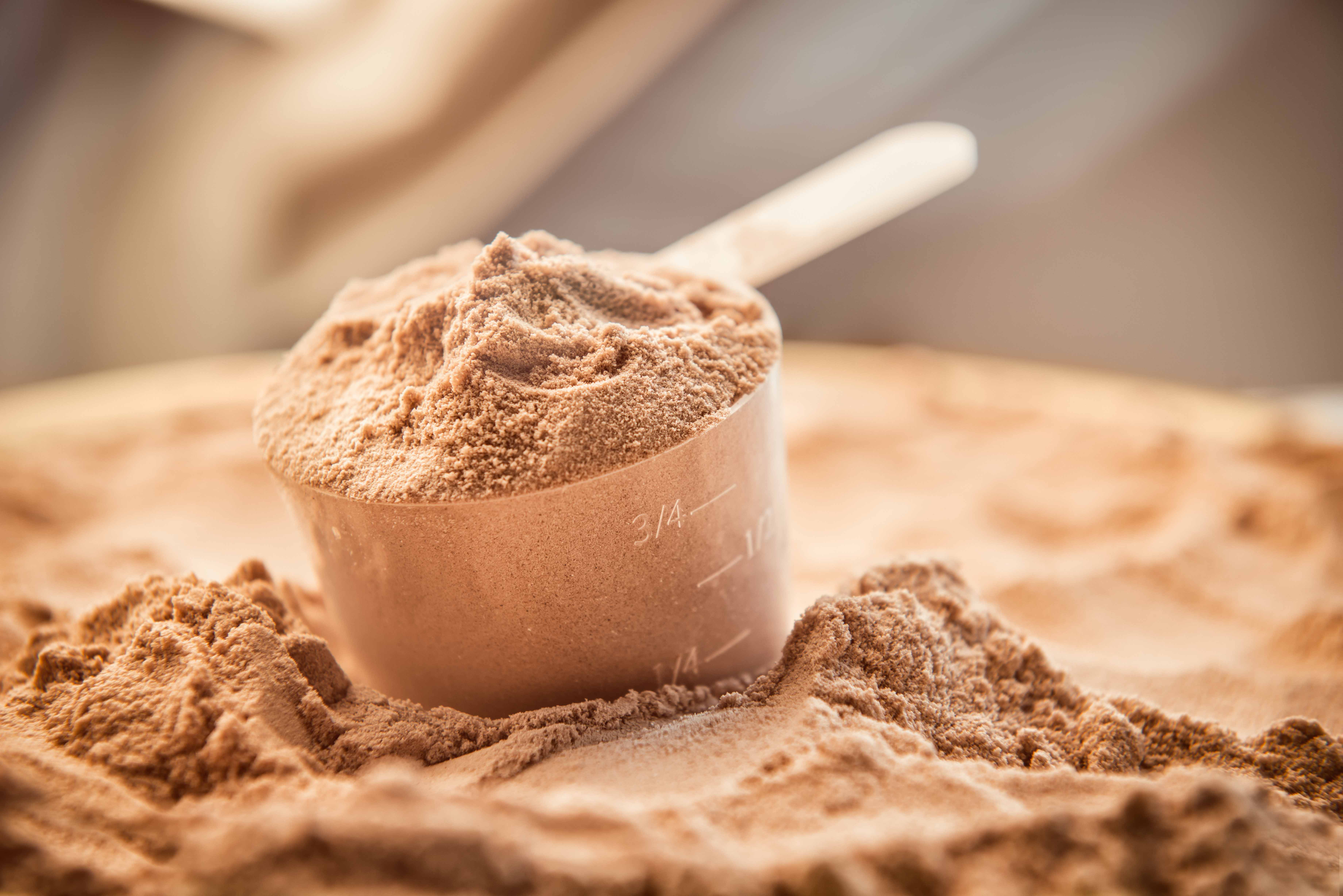 Everything-You-Need-to-Know-About-Protein