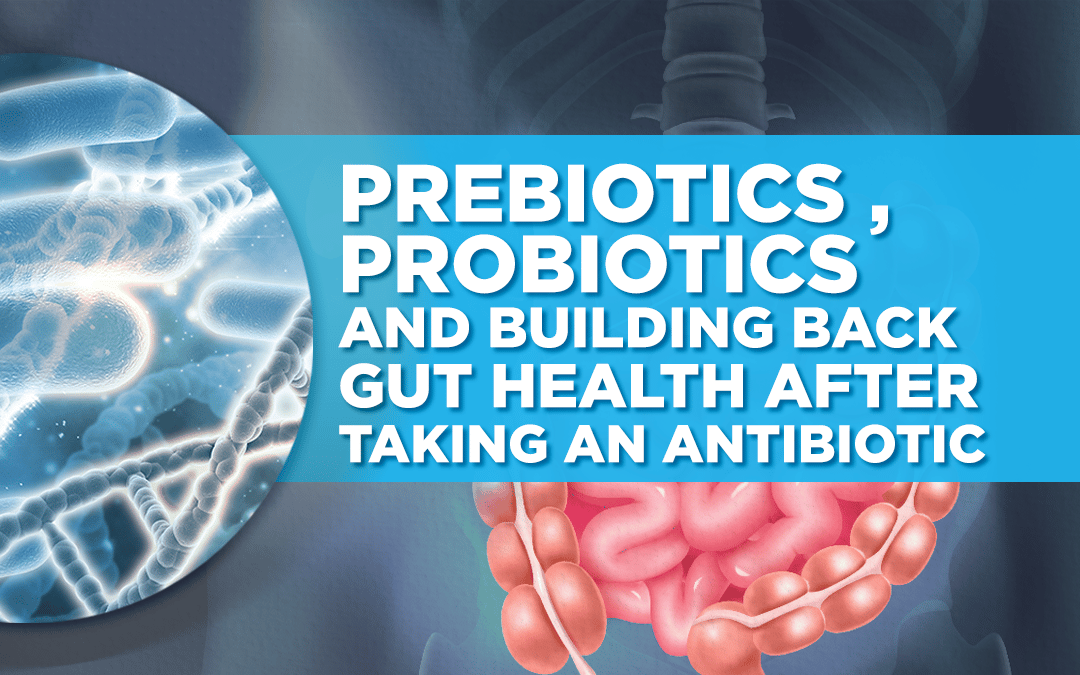 Graphic for gut health after antibiotics